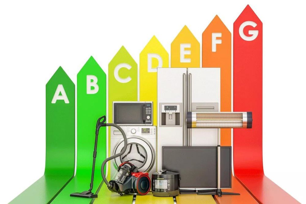 #�������_���_����������������