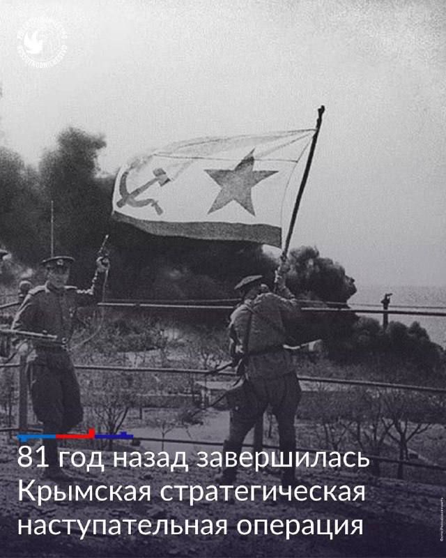 ����� 81 ��� ����� ����������� �������� �������������� ��������, � ���� ������� ���� ��� ��������� ���������� �� ��������