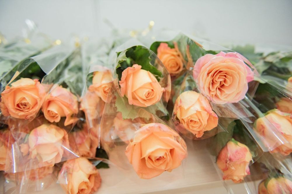 ��������� ����������� �������� �������� ������� � �������������� ��� ����������� ������