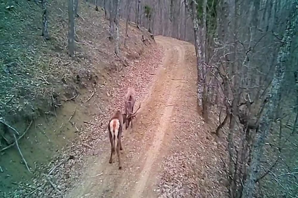 ������ ����! �������� ���� � �������������� ����������