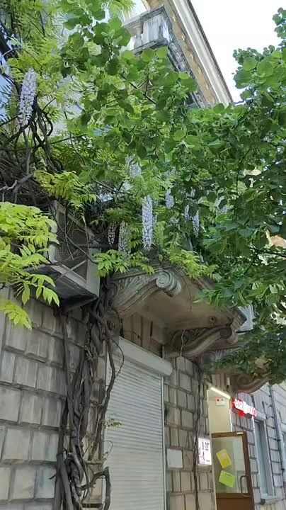 #���_�����. �������� �������� �� ��������� ������� ������ ��������������� ������