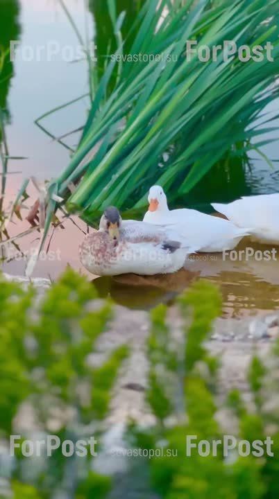 ���������� ���� �� ��������� ����� � �����������