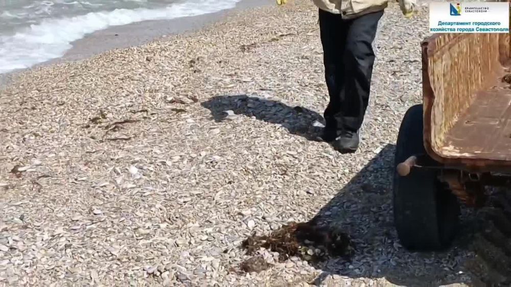 ������, ������� ��� ������� ���������� � �������� ������