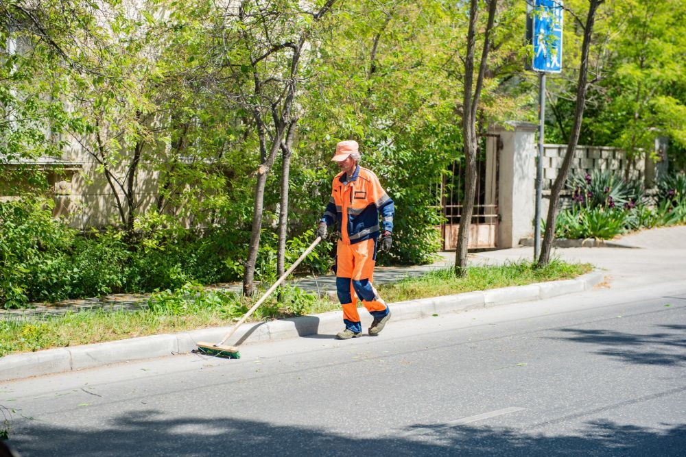 ���������� ��������� � ����������� ��������� �������� ������ �� ����� ��������������