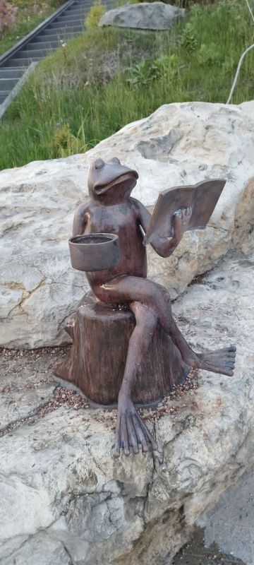 ������ ����, �����������! ������� ��������� ���������� ����������