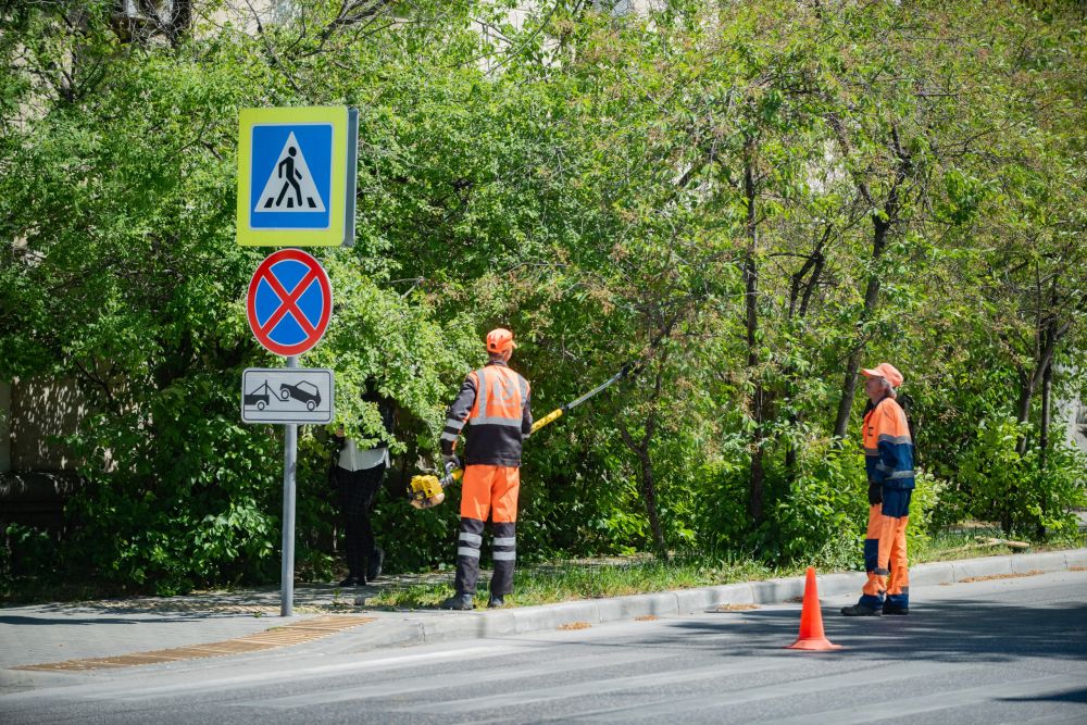 ���������� ��������� � ����������� ��������� �������� ������ �� ����� ��������������