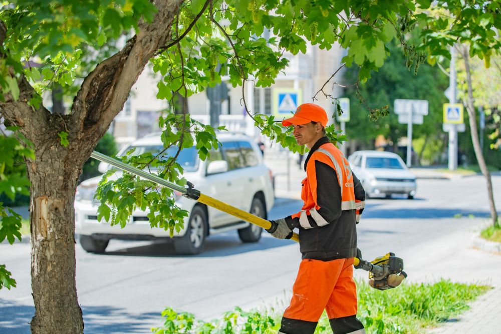 ���������� ��������� � ����������� ��������� �������� ������ �� ����� ��������������