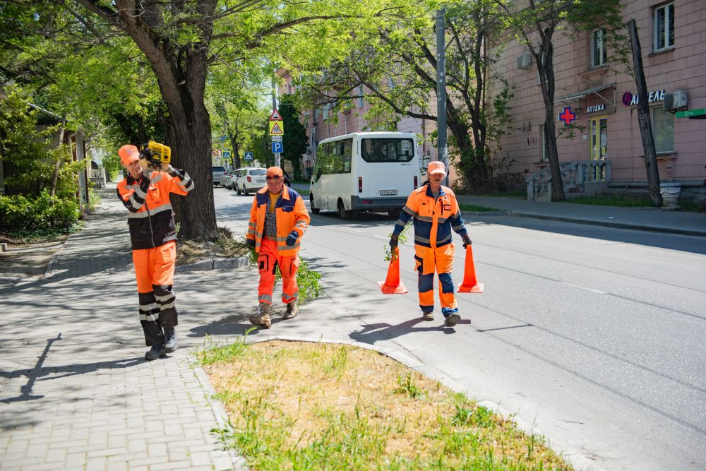 ���������� ��������� � ����������� ��������� �������� ������ �� ����� ��������������