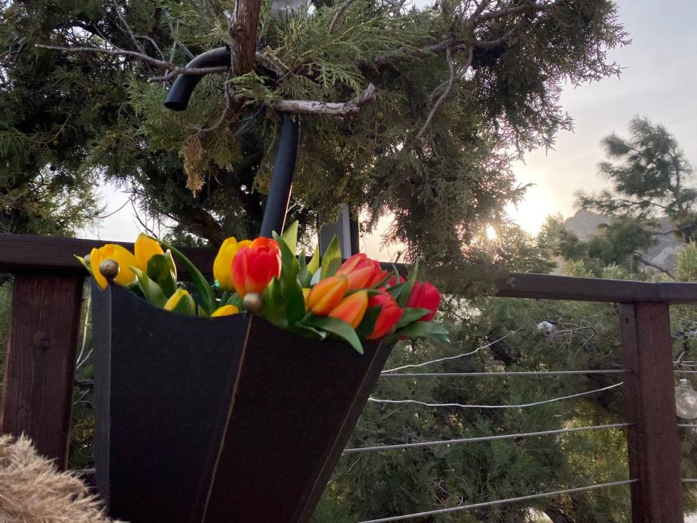 ������� ������ � ����� �� 13 ���