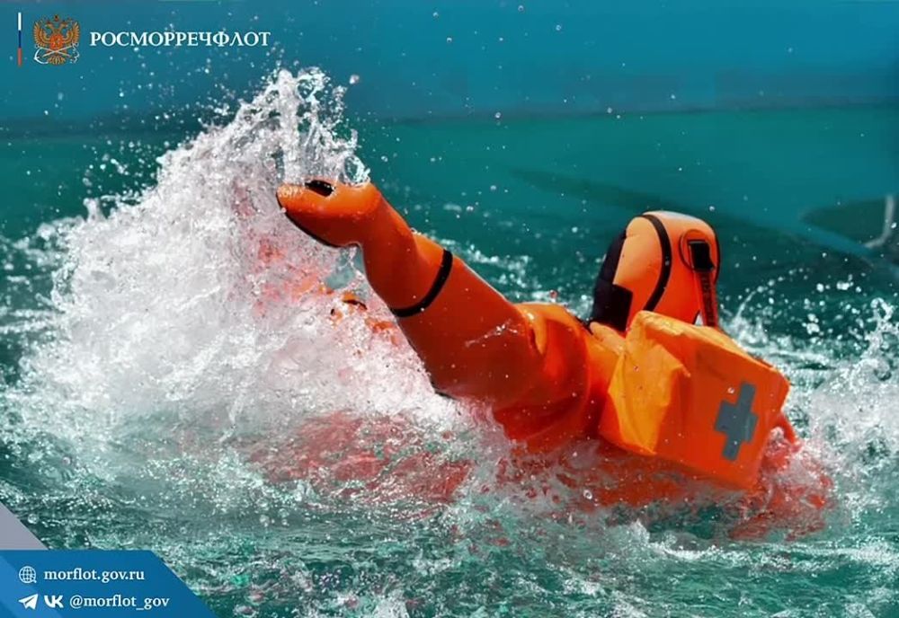 � ����������� ������ ������������ �� ������� ������������, ����������� 80-����� ������ � ������� ������������� �����