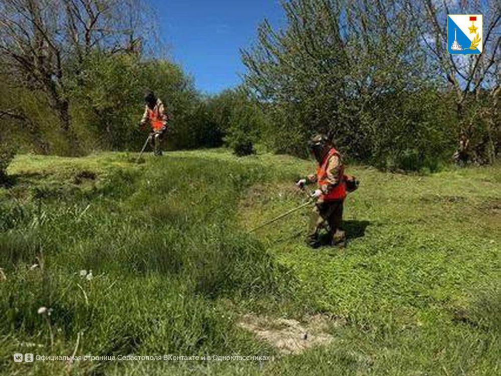 �������� ���� � ������� ��������� ������� ������ �� ���������������� �����������