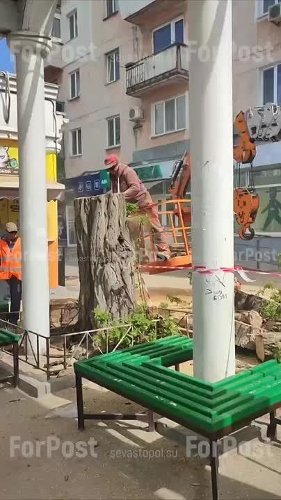 �� ��������� ��. ������� ������� ������� ��� �������� ������� (������)