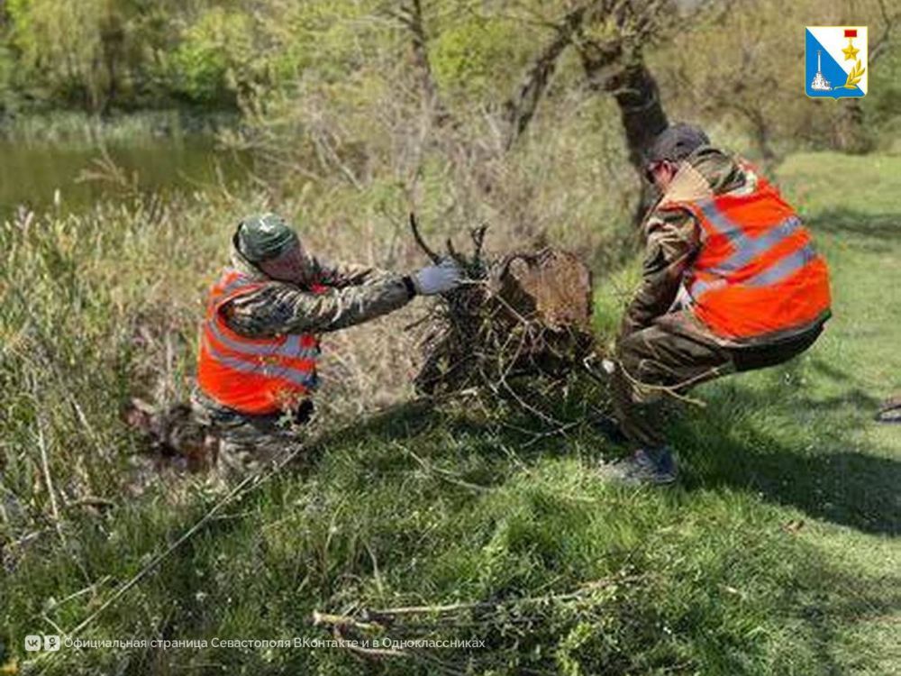 �������� ���� � ������� ��������� ������� ������ �� ���������������� �����������