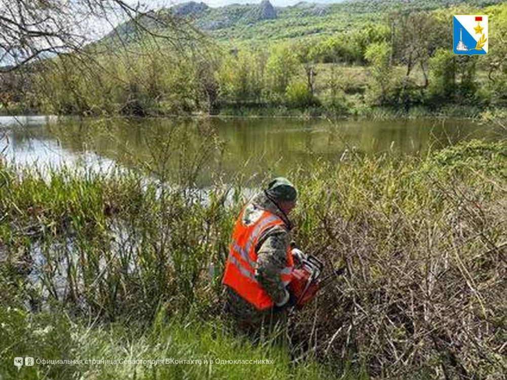 �������� ���� � ������� ��������� ������� ������ �� ���������������� �����������