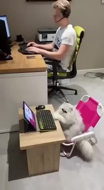 ���� �� �� ������ ��������� ��������� �� ������ ���������