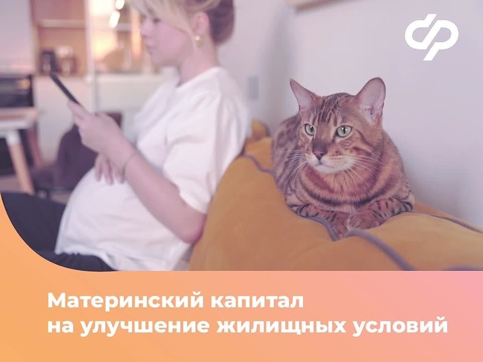 ��������� ����� ����������� � ����������� ����������� ���������� ��������� �� �. ����������� �����������