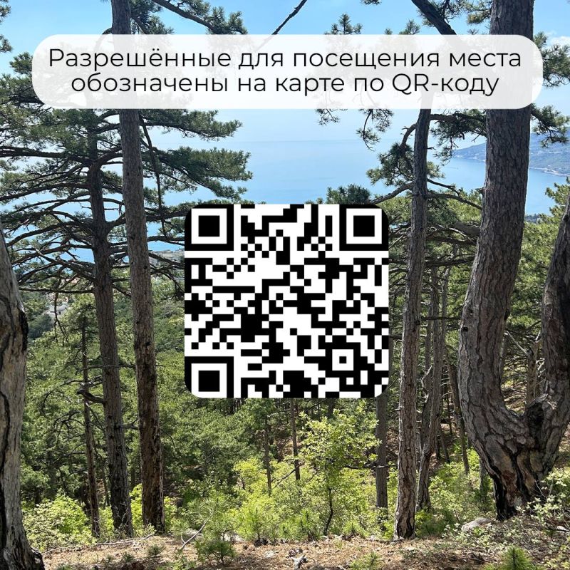 � ����� ���������� ��������� �����