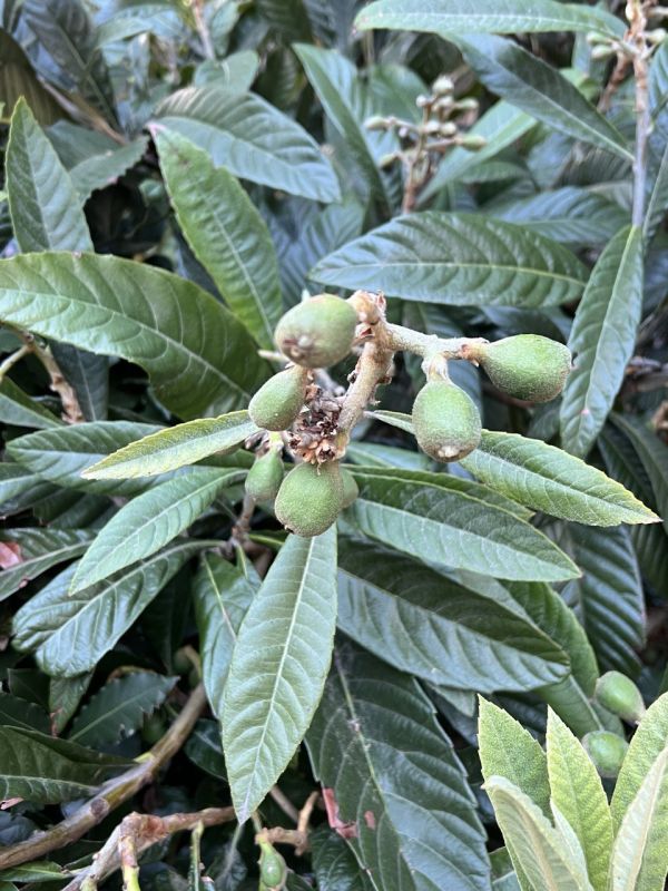 #��� �� ��������?. ���� ����������� �������� � ��������� ��������: ������ �� ���������� ���������� ������������ �������, ��������� �������, ����� ������ � ������ ����� �������� ��������� �����, � ������ ��� ������...