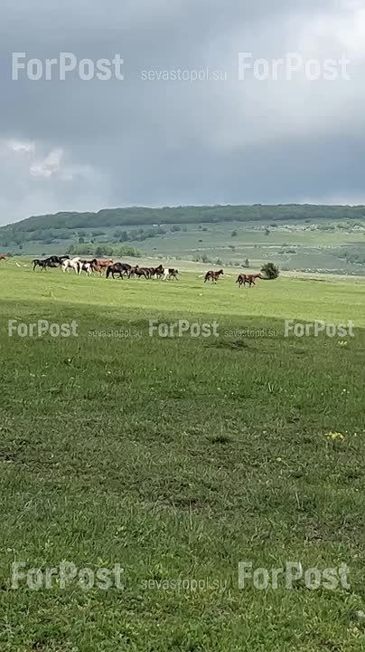 ��������: ����� ������� �� �������������� ����