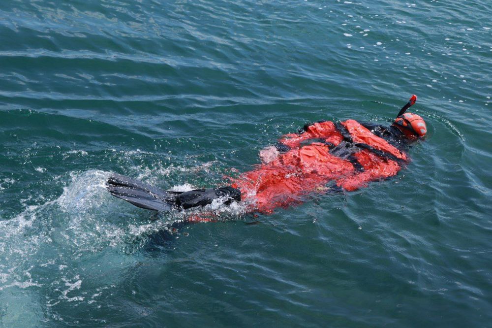 �������� ������������ ������ ����������� �������� ���������� � ���������� ������