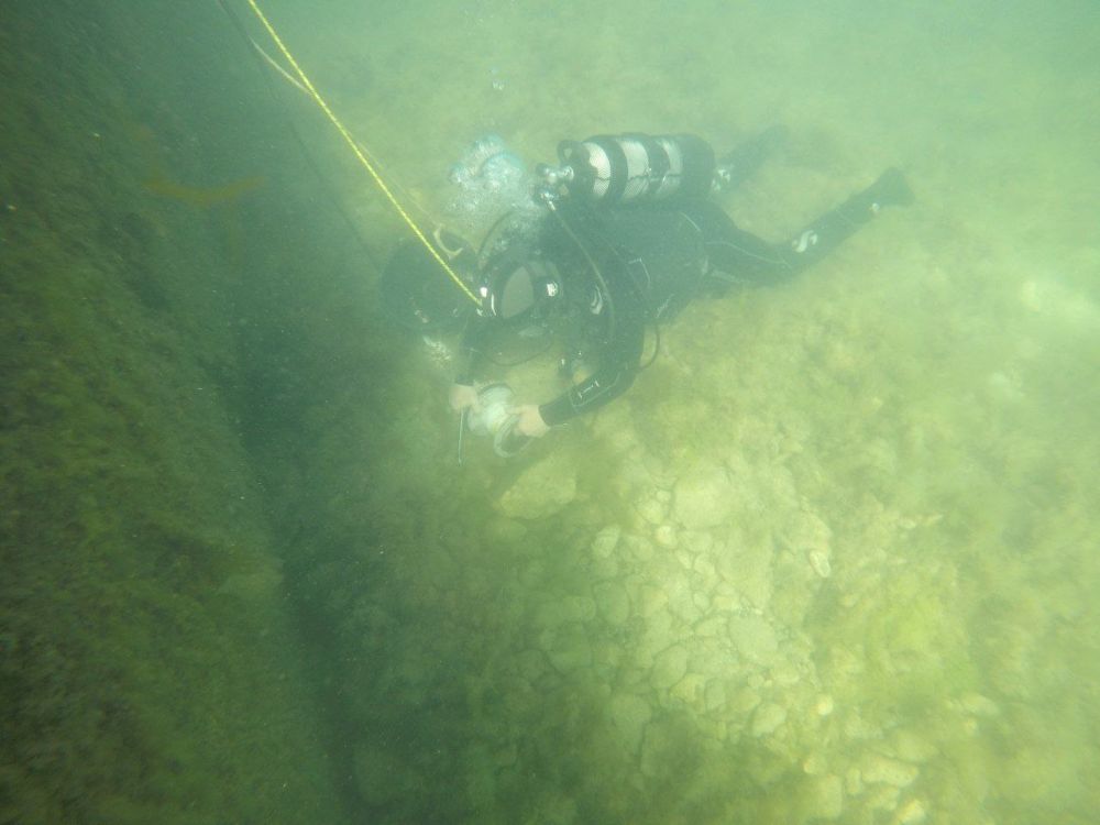 �������� ������������ ������ ����������� �������� ���������� � ���������� ������