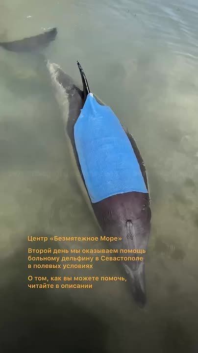 � ����������� ������� ��������, ������������� � �����