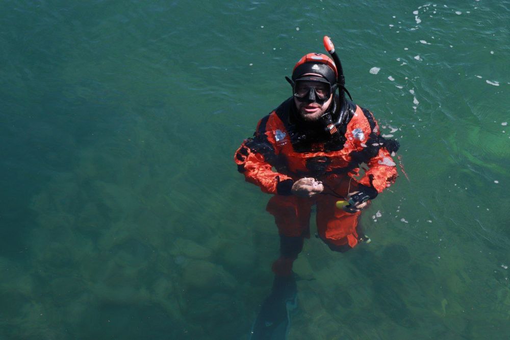 �������� ������������ ������ ����������� �������� ���������� � ���������� ������