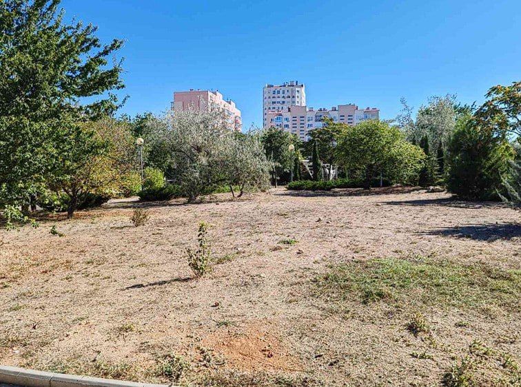 � ��������� �������� ����������� ����-�������