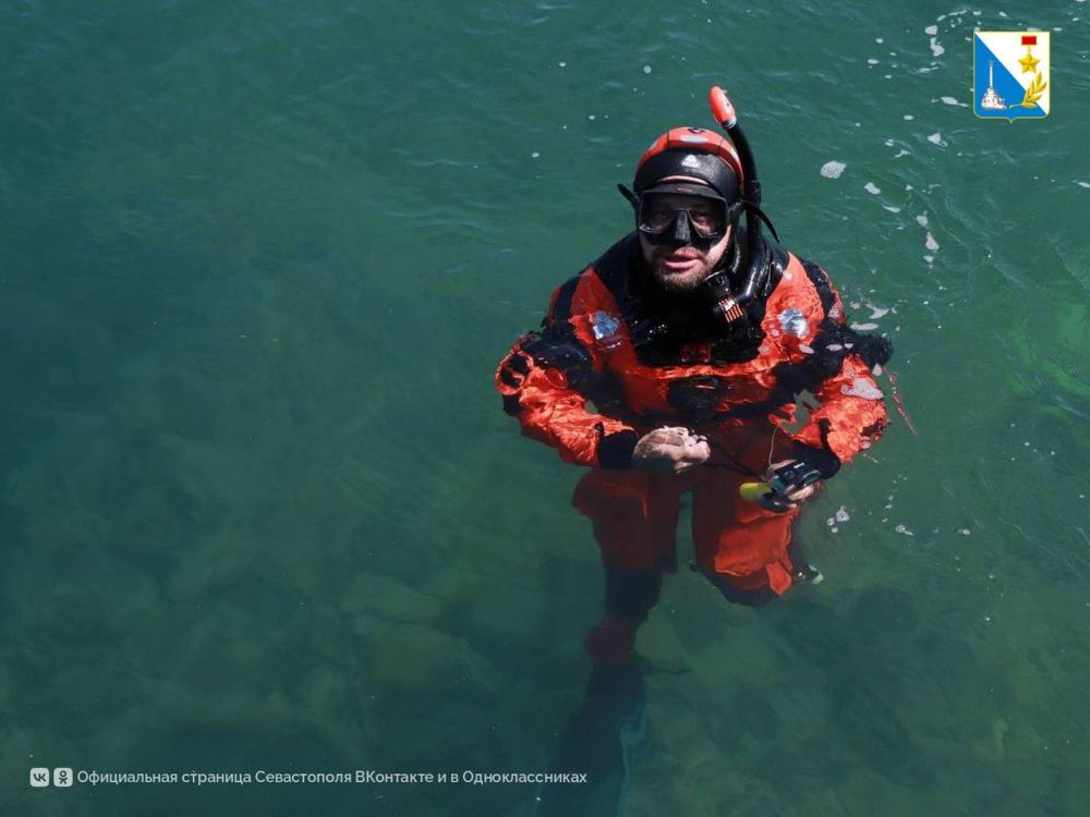 � ����������� ������ ���������� ���������