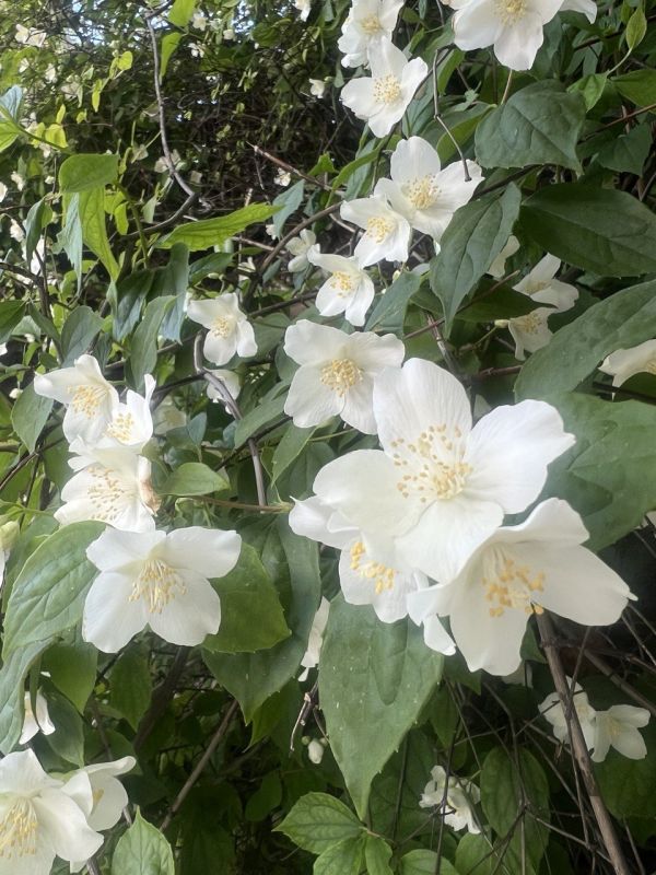 #��� �� ��������?. ���� ��������� ������ ������������ � ����� ������ � ��� ����� ������ ��� �������� ����� ����������� ������, ������ �� ������� ����� �� ��������� ������