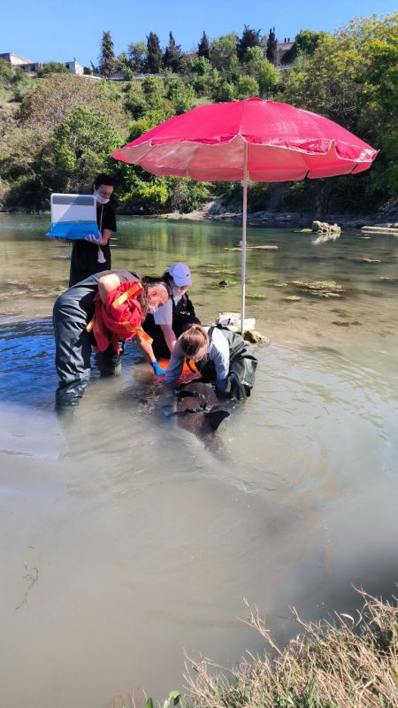 Никита Васильев: В Севастополе спасают дельфина