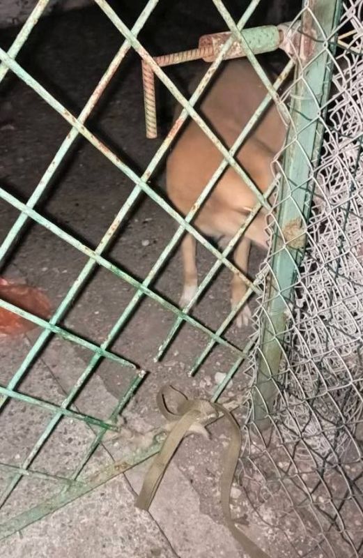 ������������ ������ ����������� ������� ����������� � ������ ������