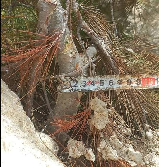 � ����������� ��������� ������������� �������