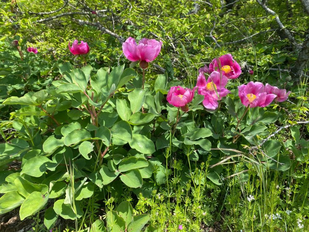 ������� ������ � ����� �� 15 ���