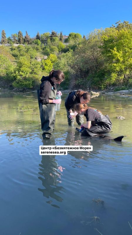 � ������ ������������ ��������� ������������ ���� ������� �� ����� ��������-���������