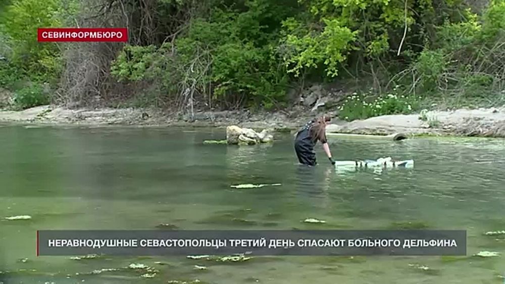 ������������� ������������� ������ ���� ������� �������� ��������