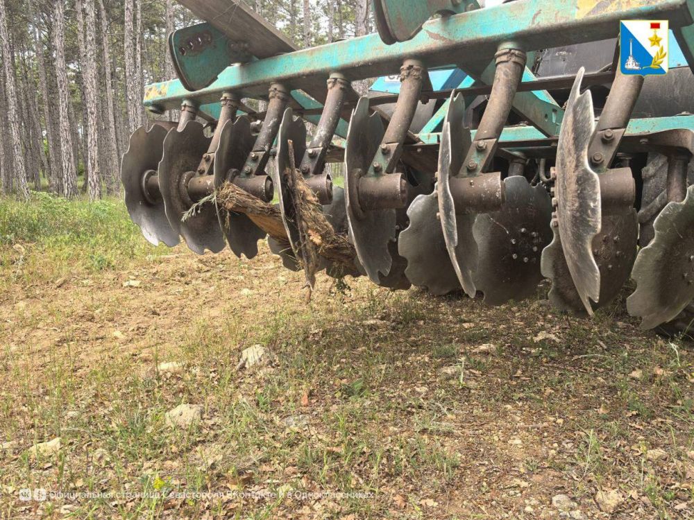 � ������������� ����������� ������� ��������������� ����