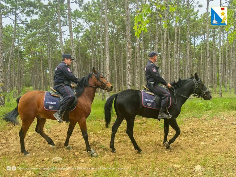 � ������������� ����������� ������� ��������������� ����