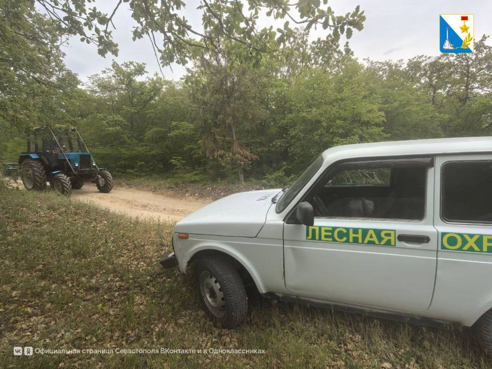 � ������������� ����������� ������� ��������������� ����