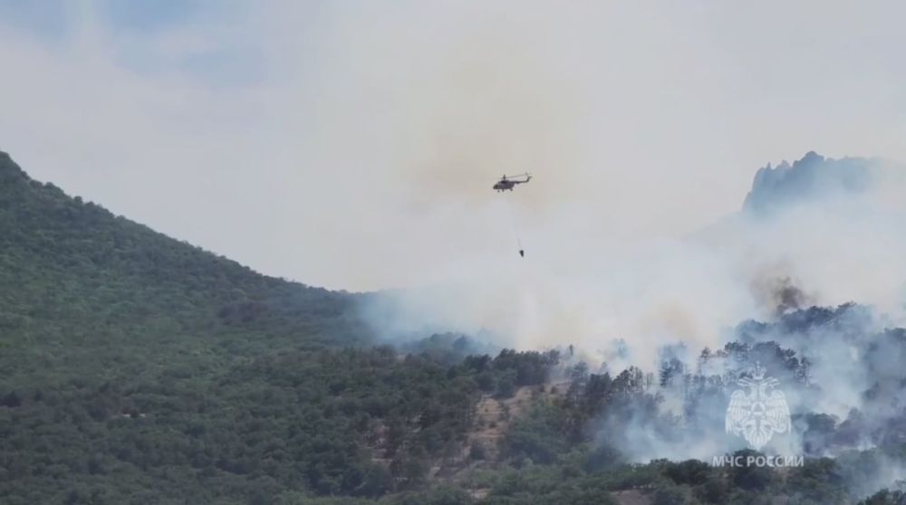 ��������� ������ � ����������� ����������� ������� �������� � 2 ���� �������