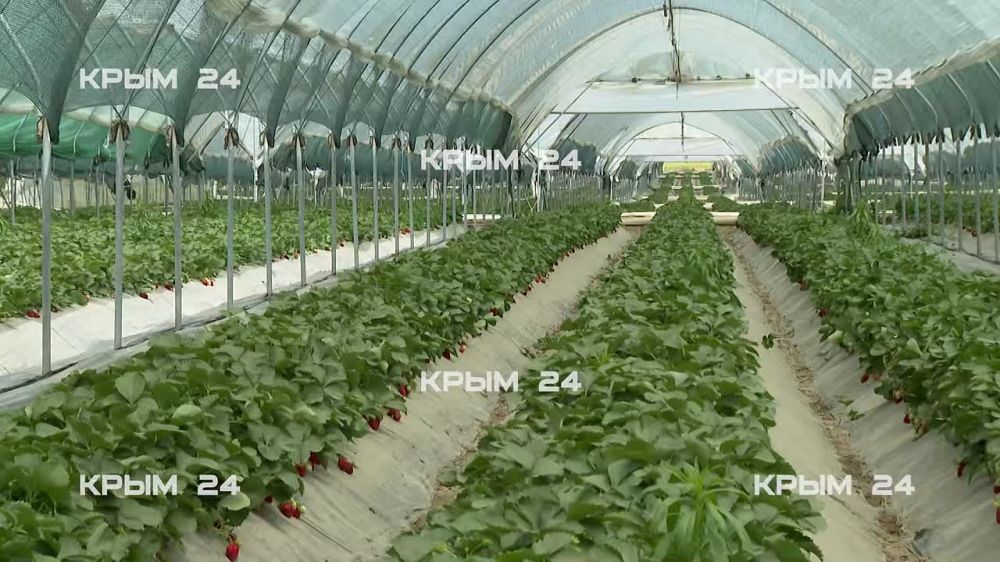 � ����� ��������� �������� �������� �������� �� ������������