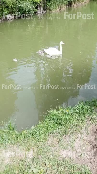 ���� ������� ������ �� �������� ������� � ������ ������������ ����� �����������