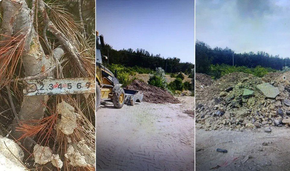 ���������� ������ ������ ������������� ����� � �����������