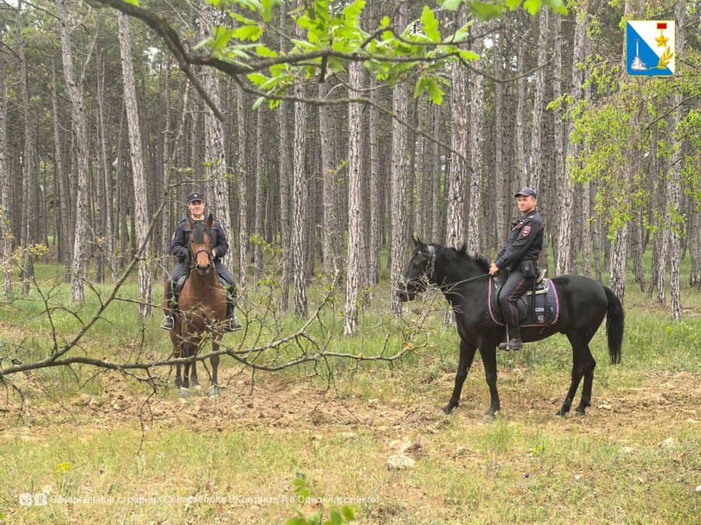 � ������������� ����������� ������� ��������������� ����