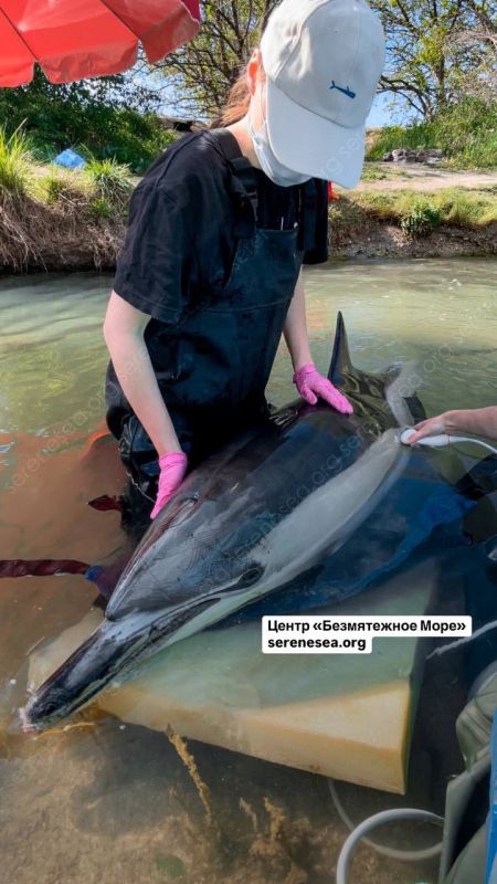 � ������ ������������ ��������� ������������ ���� ������� �� ����� ��������-���������