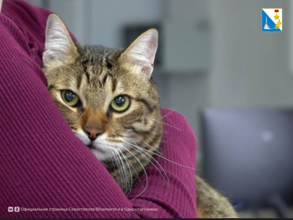 ���������� ���������� �� ��������� � ���������