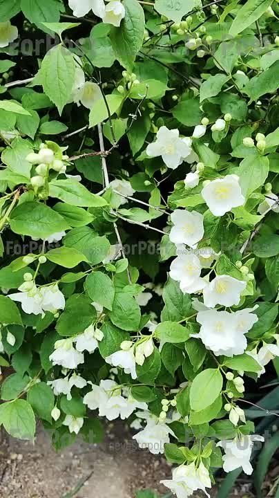 ������ � ����������� ������ ���������� �������, �� ������������ �������������� �������� �� ���� � ������