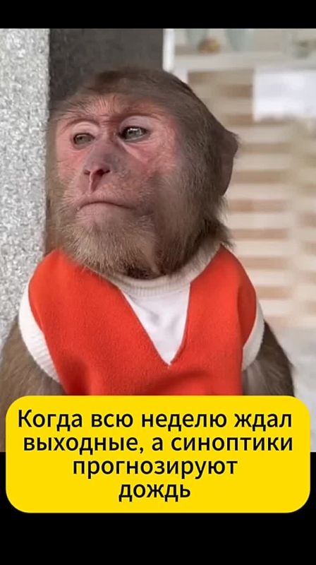        !