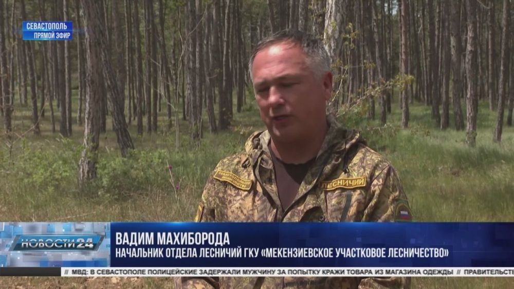 ���������������� � ��� ���������� � �������������� ���� ����������� ���