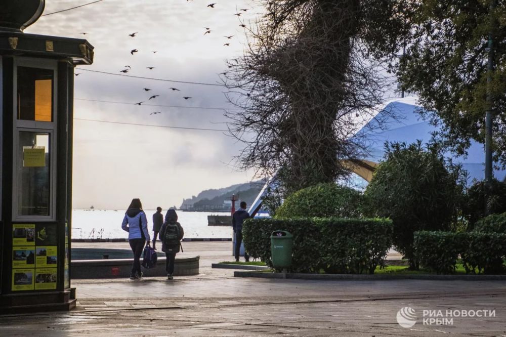 ������� ������ � ����� �� �������